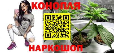 спиды Ипатово