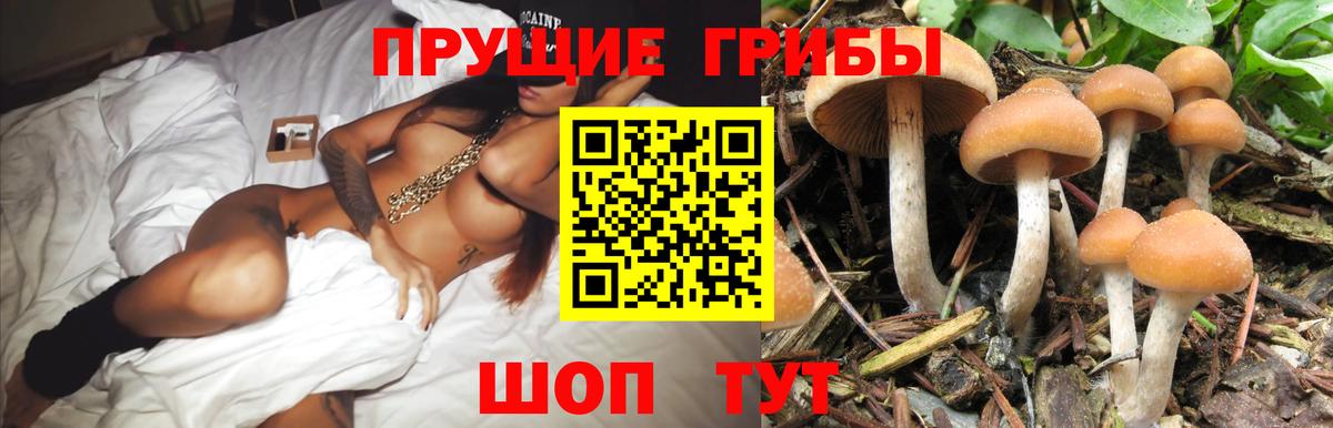Псилоцибиновые грибы мухоморы  Вход с VPN  Дагестанские Огни  Галлюциногенные грибы Cubensis 
