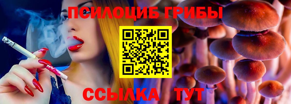 Галлюциногенные грибы Cubensis Дагестанские Огни